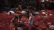 Clair Obscur: Expedition 33 screenshot showing three human characters interacting with a small, colorful creature in a red grass landscape with scattered ruins and bones
