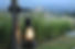 shutterstock_364325867 small.jpg