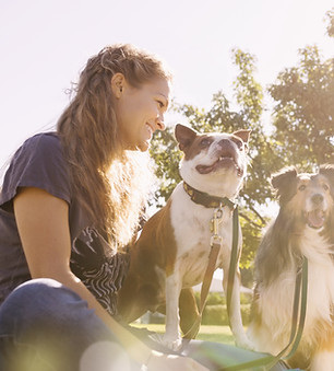 Dog Walker at the Park