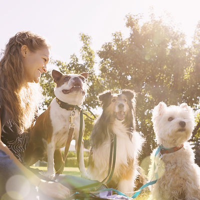 Dog Walker au Parc