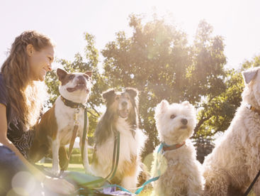 Vive plenamente con tus perros y sin dolores con Feldenkrais