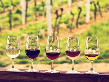 Plan the Perfect Wine Tour