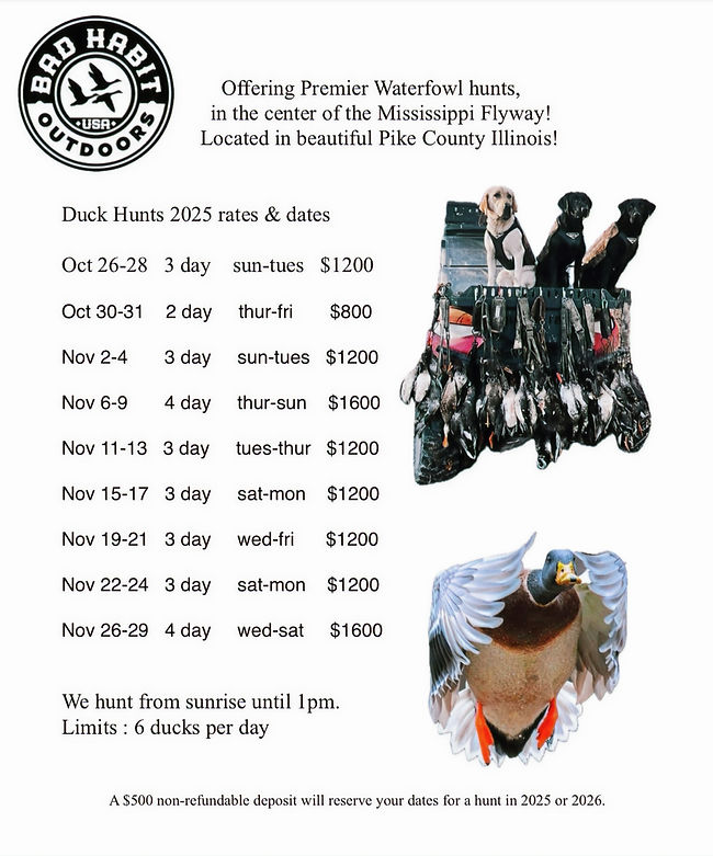 Screenshot 2025-07-14 at 7_edited.jpg