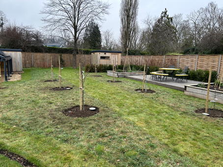 Barrow Road Orchard Planting