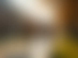 Access Top European Universities with European Study Advisors