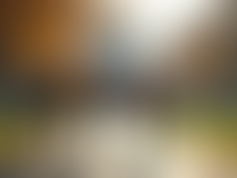 Exploring Study Abroad Programs for a Global Education