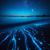 Bioluminiscencia en Costa Rica