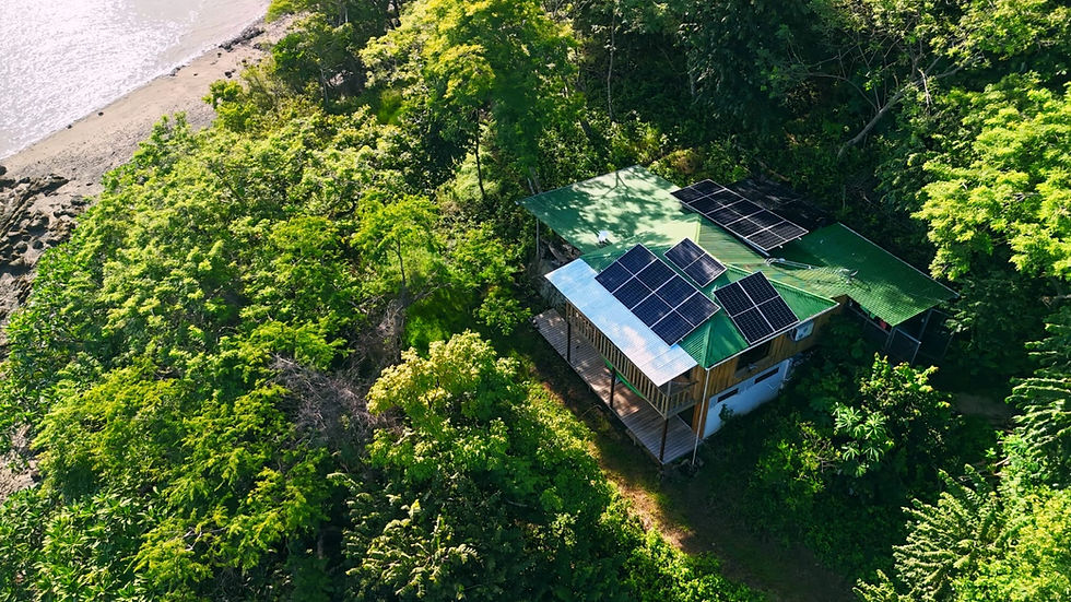 Casa con paneles solares en techo verde, rodeada de frondosos árboles, cerca de una playa. 