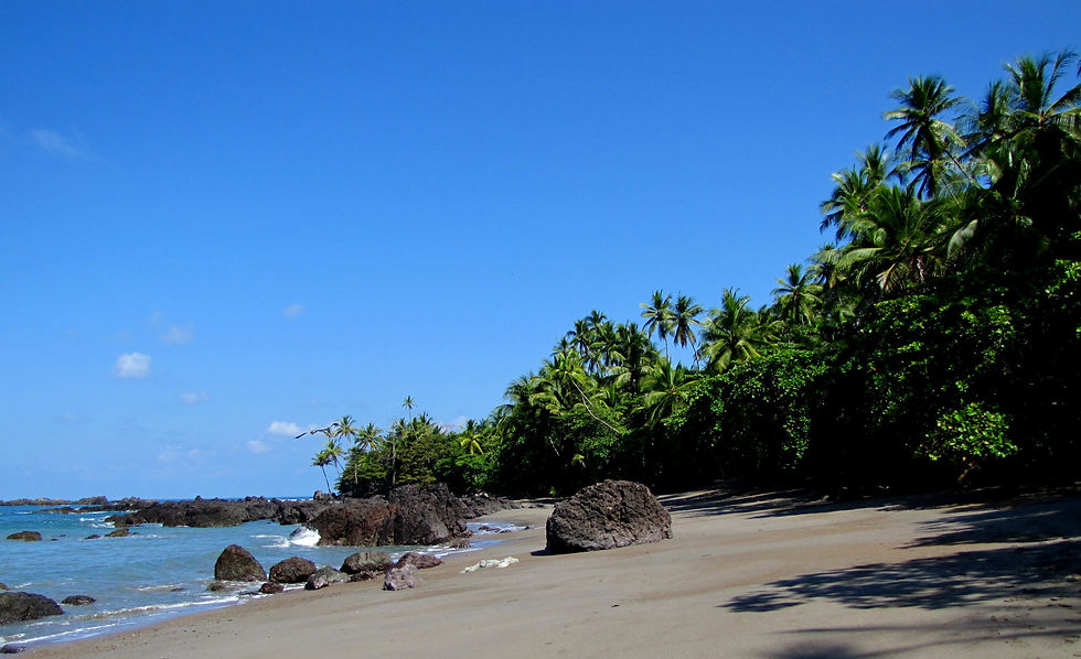 Parque NacionalC orcovado