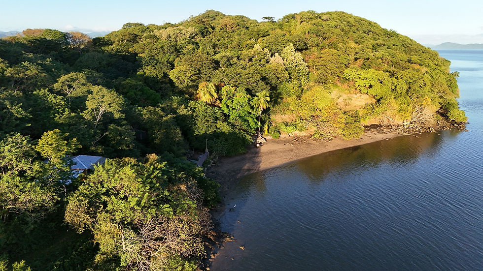 Vista aérea de playa Roble con densa vegetación verde y una pequeña casa entre árboles. El mar azul se extiende a la derecha bajo un cielo despejado.