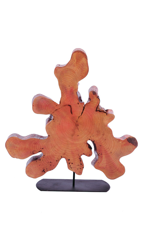 Escultura Canela de Veia - 01