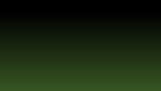 GREEN-BLACK TEMPLATE.jpg