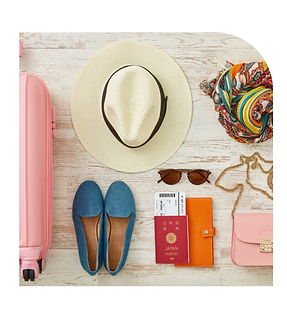 META INTELLIGENCE CODE（MIC）13.png