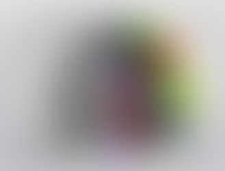 ¿INTELIGENTE o bruto? Escoge TÚ.