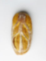 Farm bread