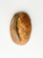 Red fife batard
