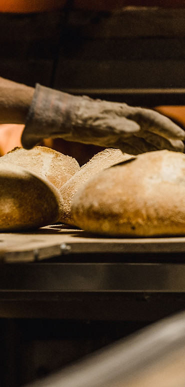 A photo of an artisan baker using a wooden bread peel to pull steaming hot round loaves of rustic bread out of a hearth oven.