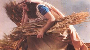 Feast of Shavuot!