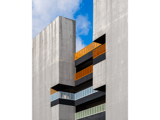 Ladder to the Future