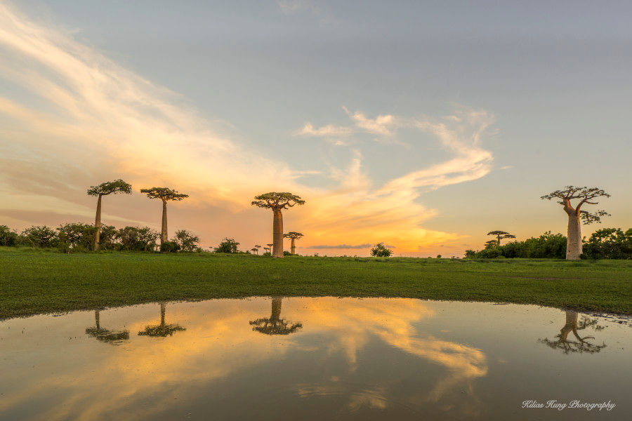 Mirror Of Dusk, Madagascar