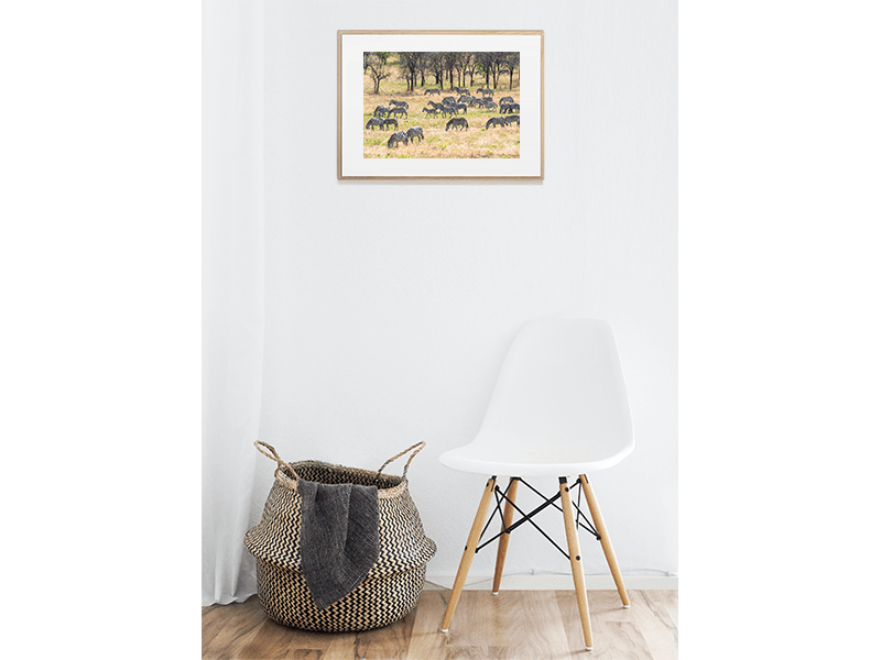 Thumbnail: Leisure Time, Tanzania