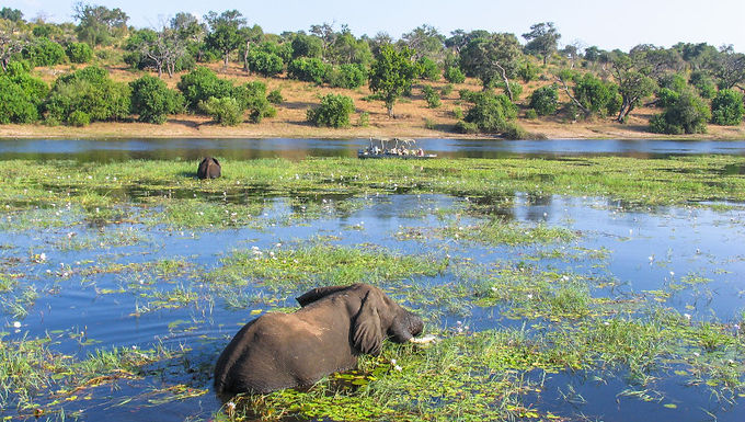Swimming Pool, Botswana