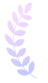 Pink Poppy Flowers