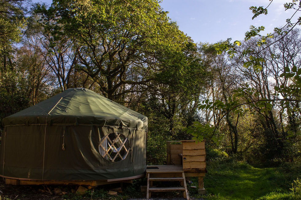 oak tree yurt