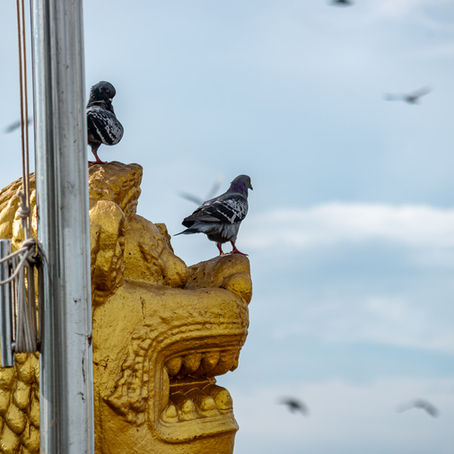 Seeing Under Pressure: The Practice of Photographing People on the Street