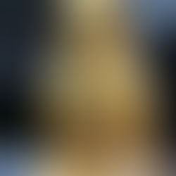 DSLRs in 2025: Still Relevant, Still Resonant