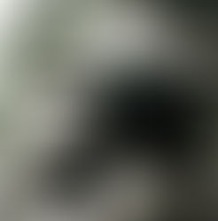 Carrying too much gear ??