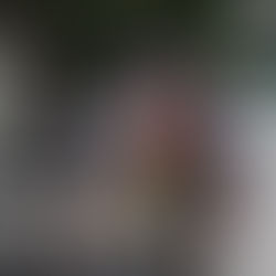 Does Every Photograph Have to Be a Masterpiece?