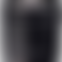 Fujifilm 18-55mm f/2.8-4 and the 16-80mm f/4.