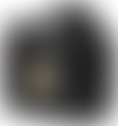 The Nikon D3 and D3s