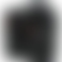 Nikon D700 Camera Assessment