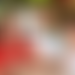 ✨ School of Hope: How People Improvement Organization Transforms Lives in Phnom Penh 🌱📚