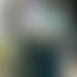 Nikon, Canon and Fujifilm