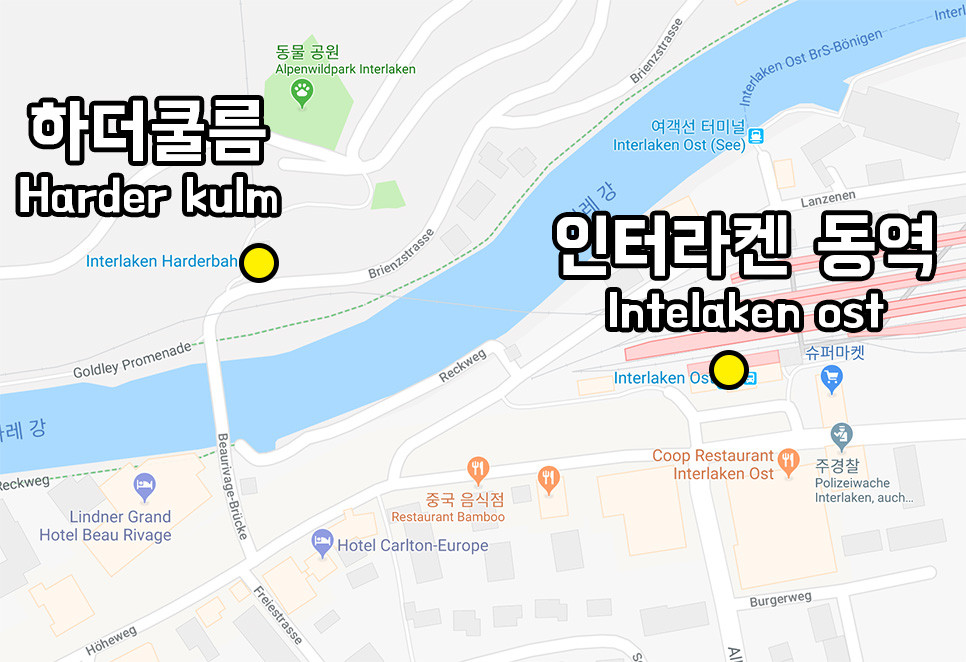 인터라켄동역에서 하더쿨름 가는 방법