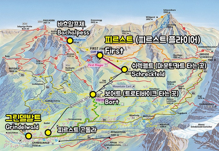 그린델발트 피르스트 쉬렉펠트 보어트 지도