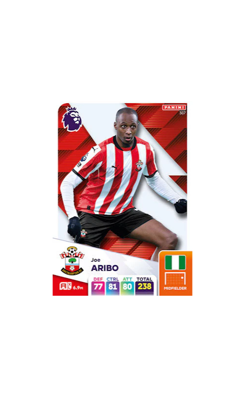 Panini Adrenalyn XL English Premier League Single - ARIBO - 307