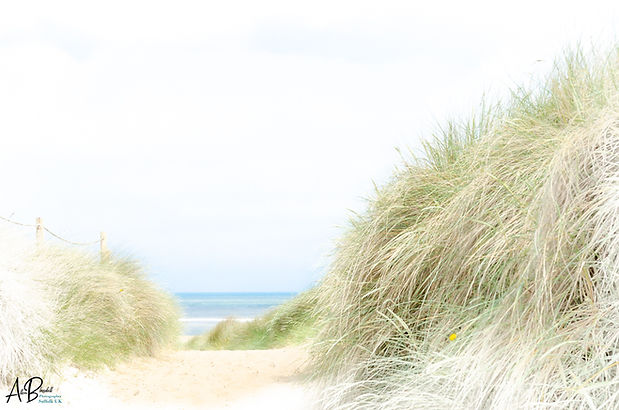 Beach-1.jpg