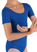 Royal Blue 01.png