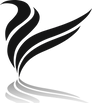 WHITE TRANSPARENT Logo Web Transparent_e