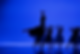 2025 Swan Lake Perf 01