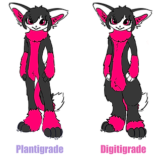 Fullsuit Planti Digi Foto.png