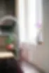 DSC01247.webp