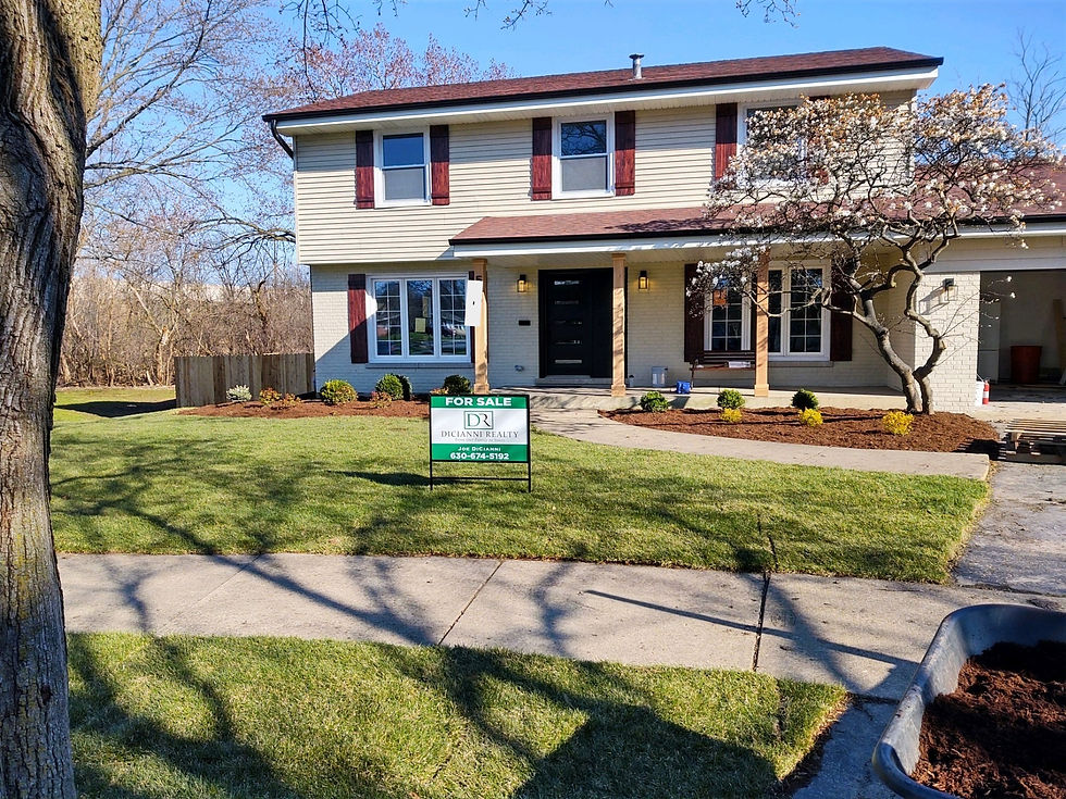 New Landscaping and Sod