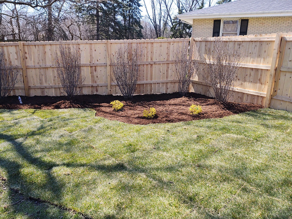Cedar Fence (1)
