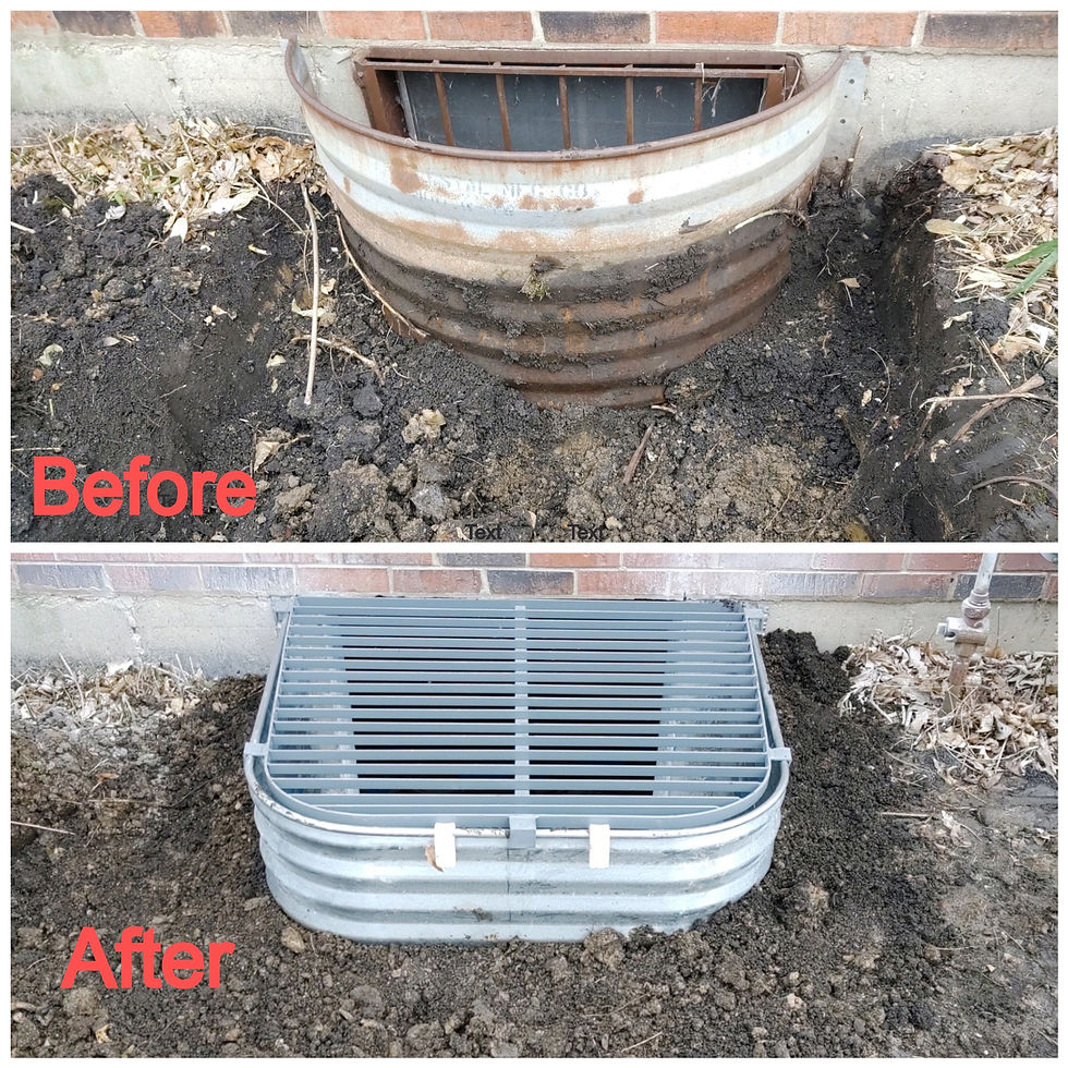 Window Well outside before and after