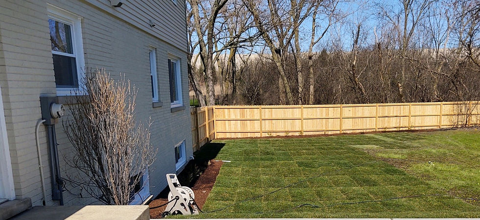 Sod, Mulch and Cedar Fence